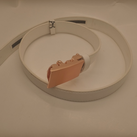 Mission Rose Gold Belt - Picture 5 of 12